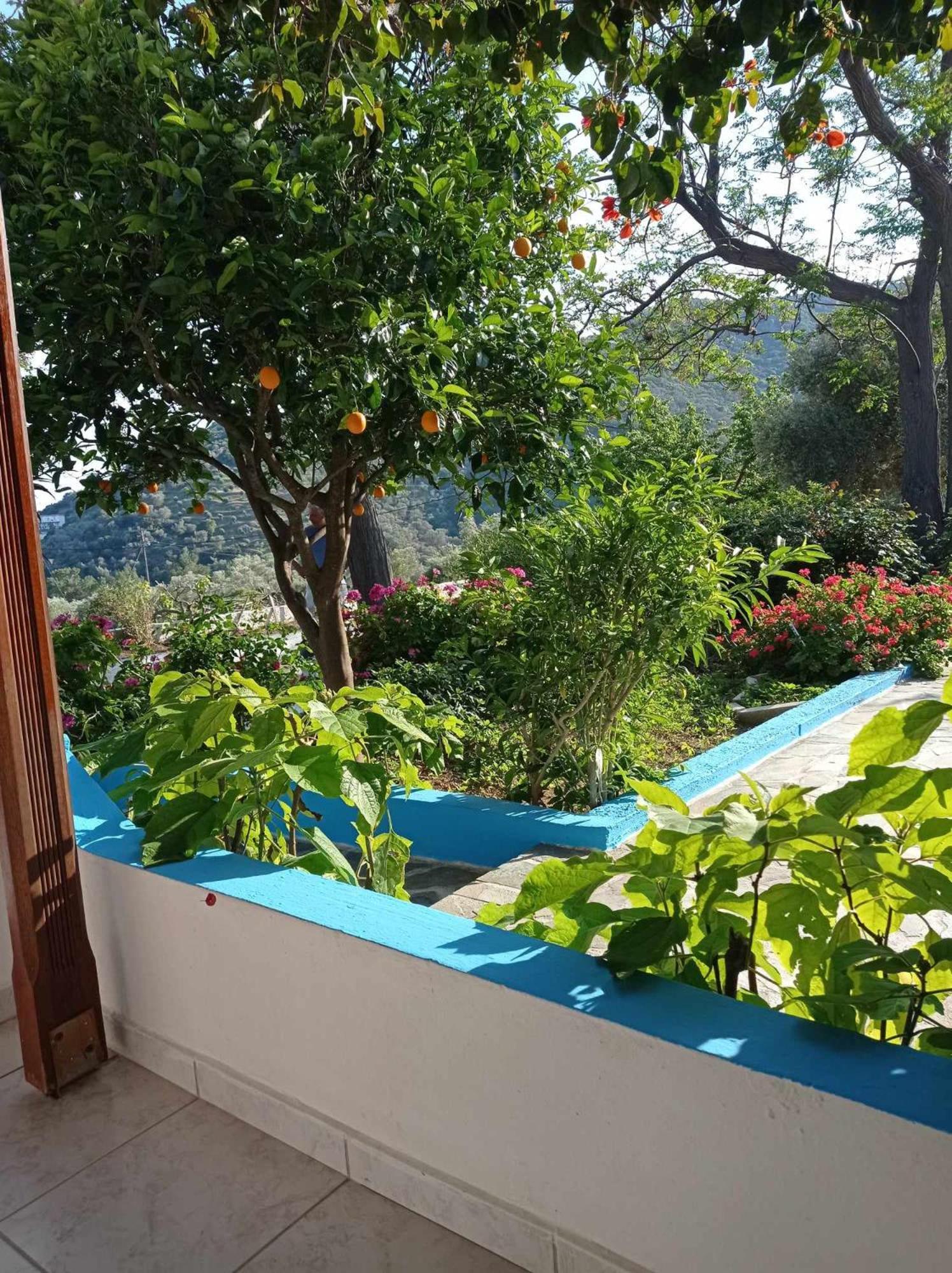 Studios Ioanna Limnionas Samos Marathokampos Exterior photo