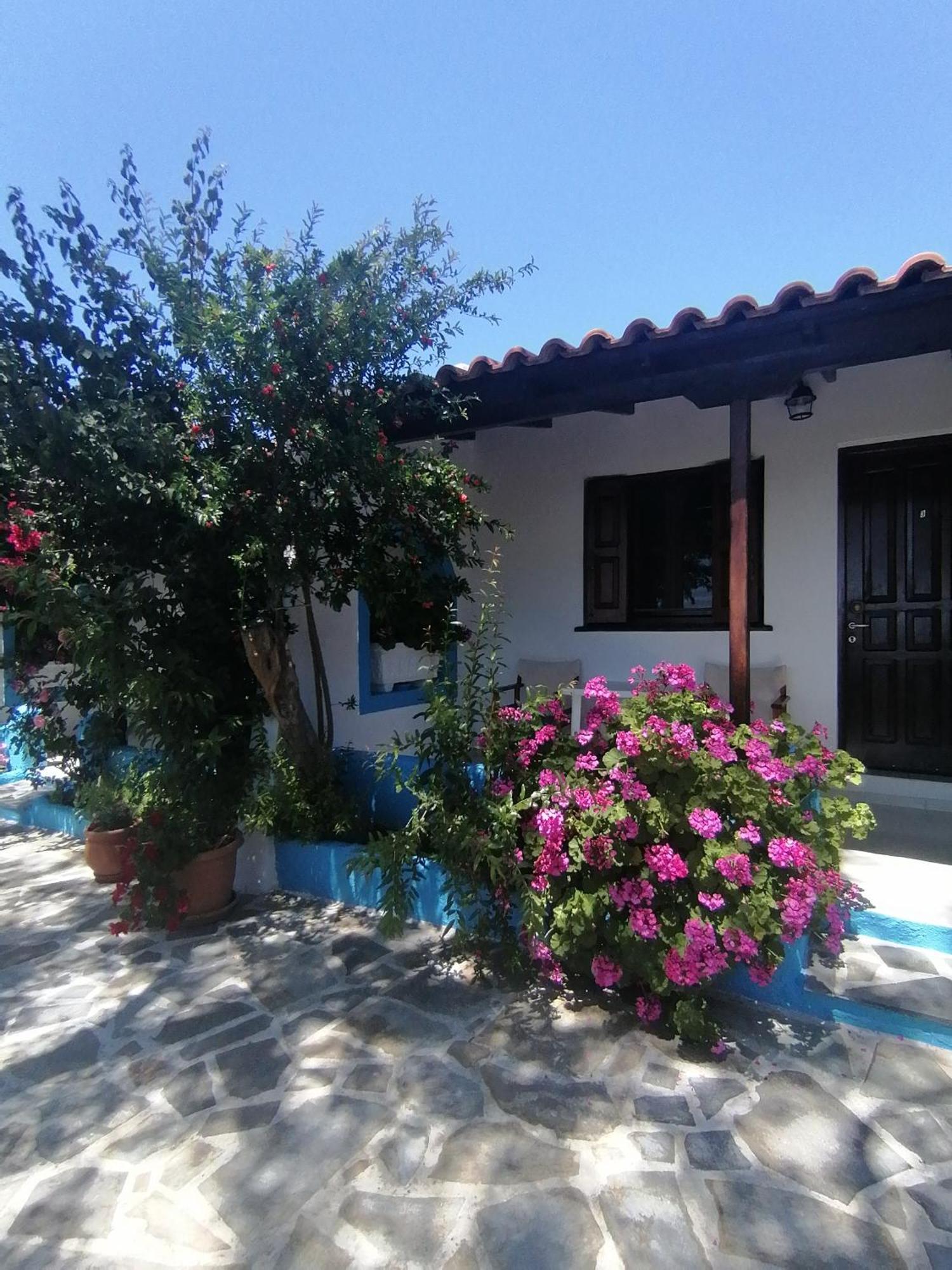 Studios Ioanna Limnionas Samos Marathokampos Exterior photo